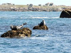 129 ILE DE MOLENE_000031